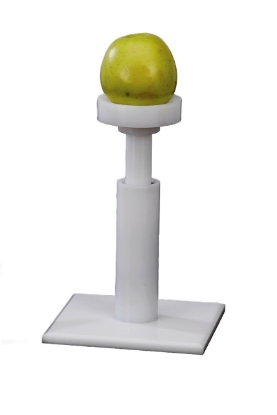 &quot;Apple Sticker&quot; Apple Setter Gold Medal 4006