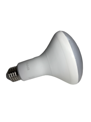 RAB-LIGHT-BULB-65W